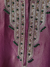 Sita Shimmer Tissue Handwork Dress