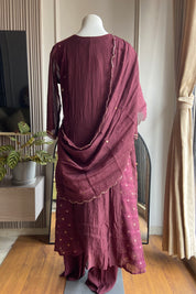 Shraddha Sai panel  pure mul Chanderi dress-wine