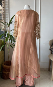 Neha Tissue hand work sleeve a line dress
