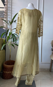 Neha Tissue hand work sleeve a line dress