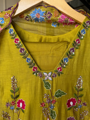 Nirma Colourful Embroided Dress