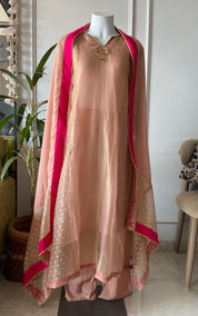 Neha Tissue hand work sleeve a line dress