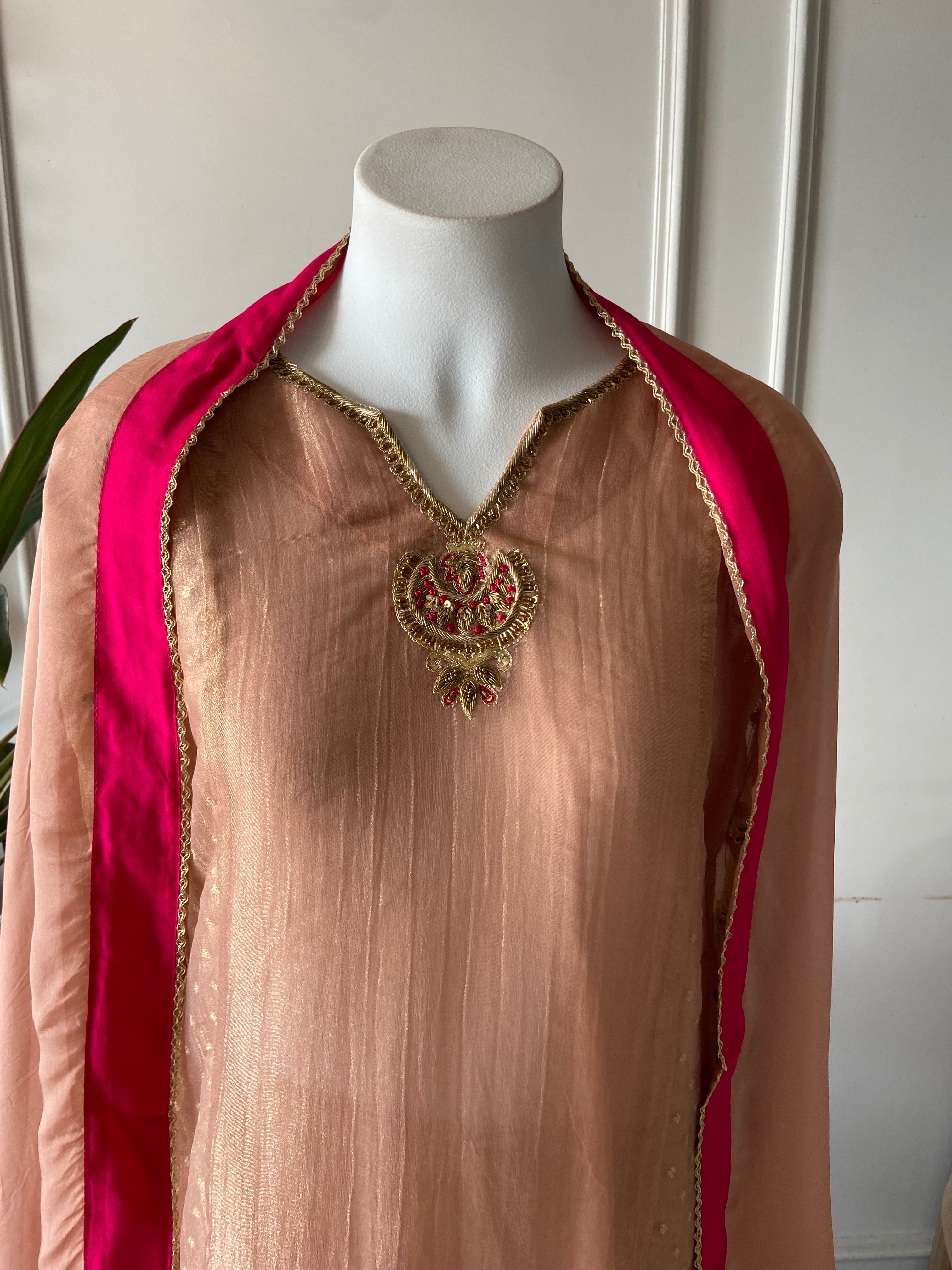 Neha Tissue hand work sleeve a line dress
