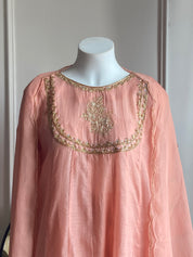 Sara Mul Chanderi Handwork Dress - Baby Pink(Preorder 5 days)