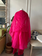 Neeti (Mulchanderi embroidered dress)