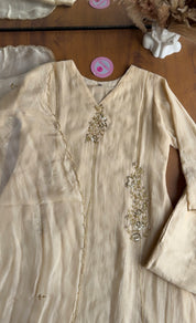Shruti Handwork Mul Chanderi Dress - Ivory
