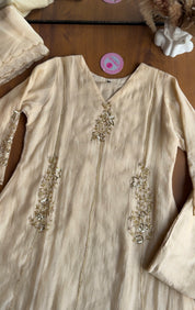 Shruti Handwork Mul Chanderi Dress - Ivory
