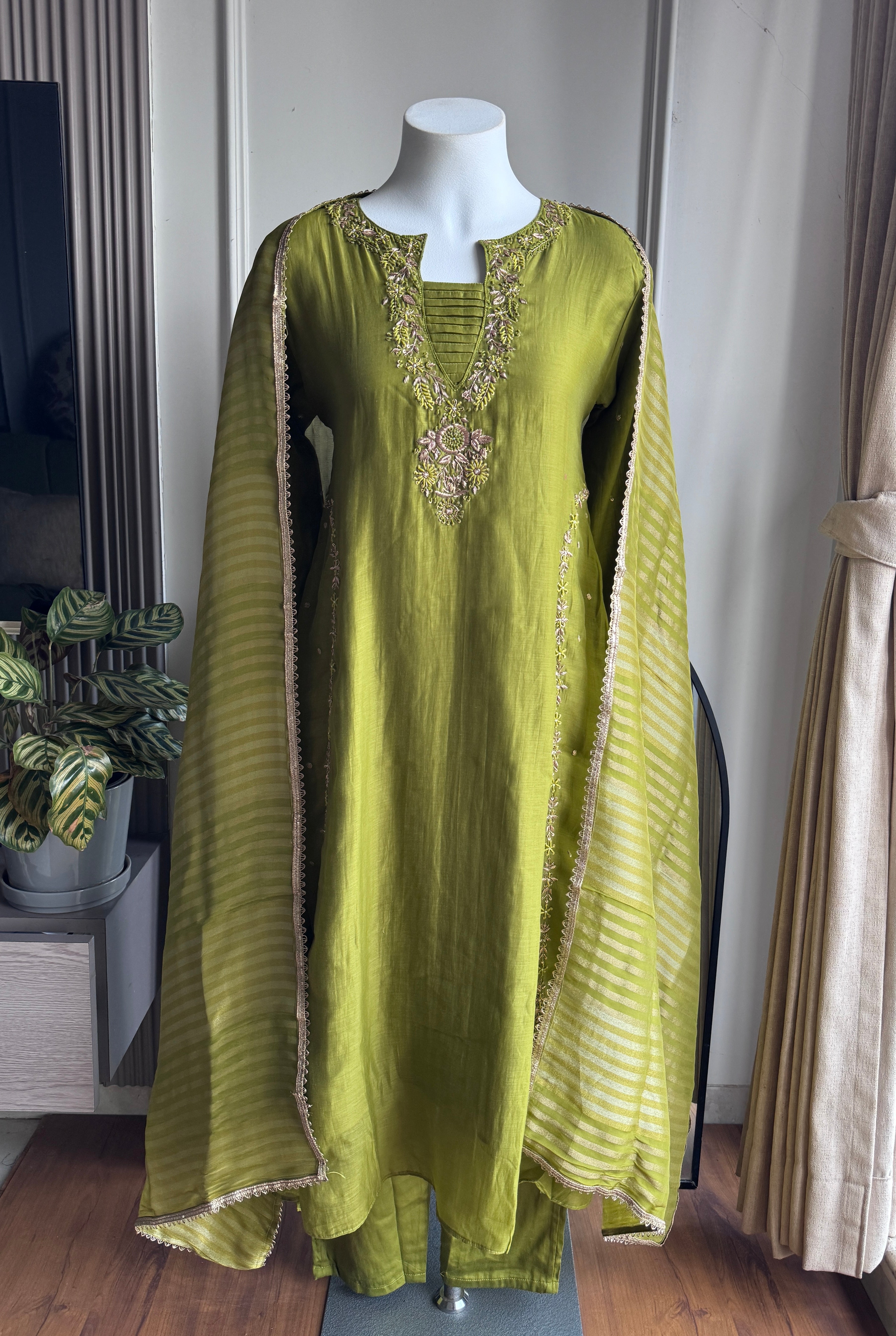 Sweena Handwork Mul Chanderi Dress- Pista Green
