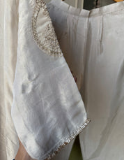 Prapti Tissue Zari Work Dress