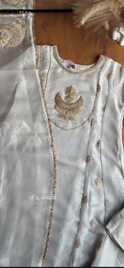 Kiara Tissue Zari Work Dress