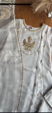 Kiara Tissue Zari Work Dress