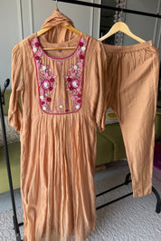 Sarika Embroided Mul Chanderi Dress