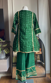 Yashika bandhani gottapati coords (green)