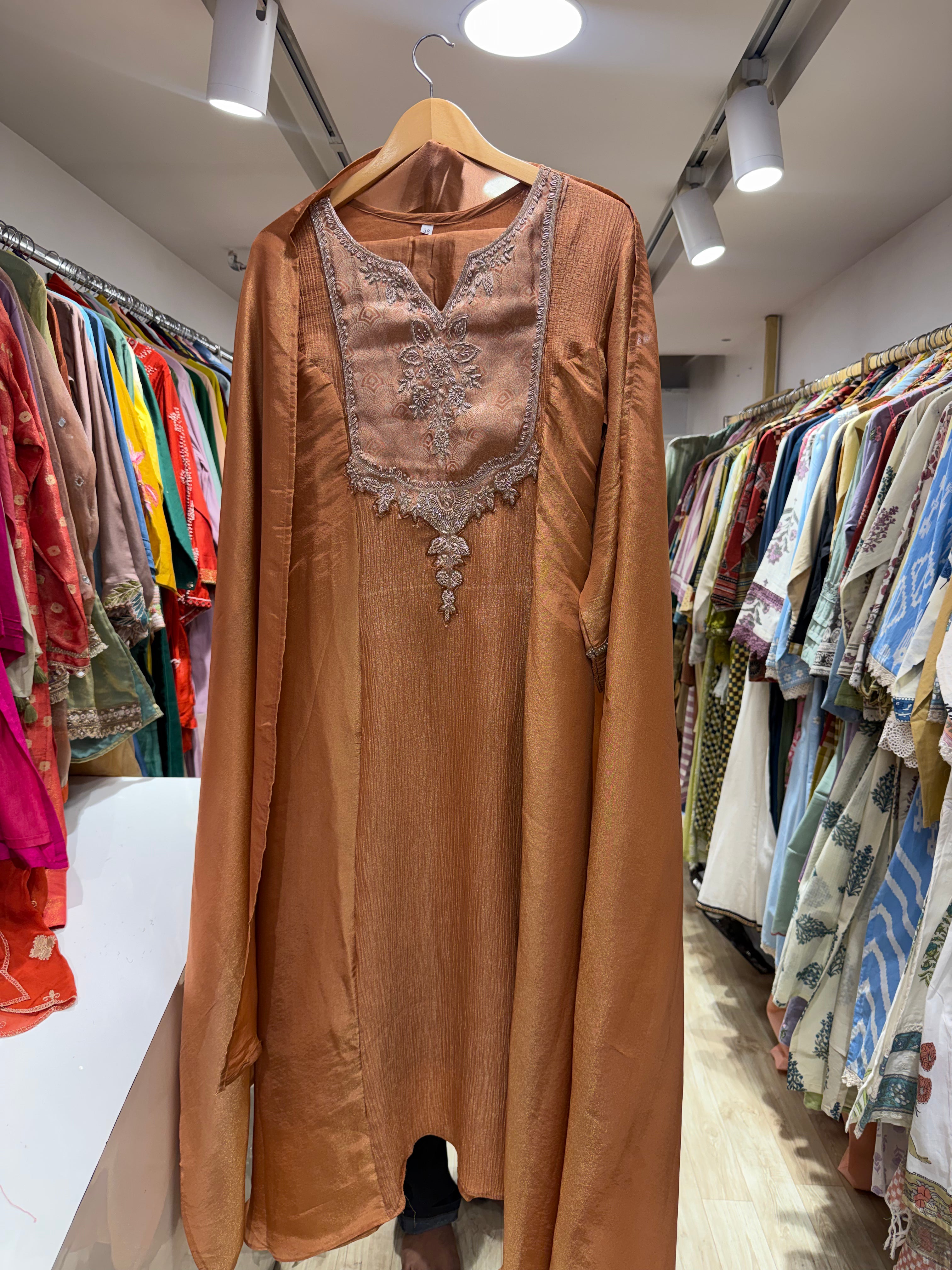 Rajvi Handwork Tissue Dress