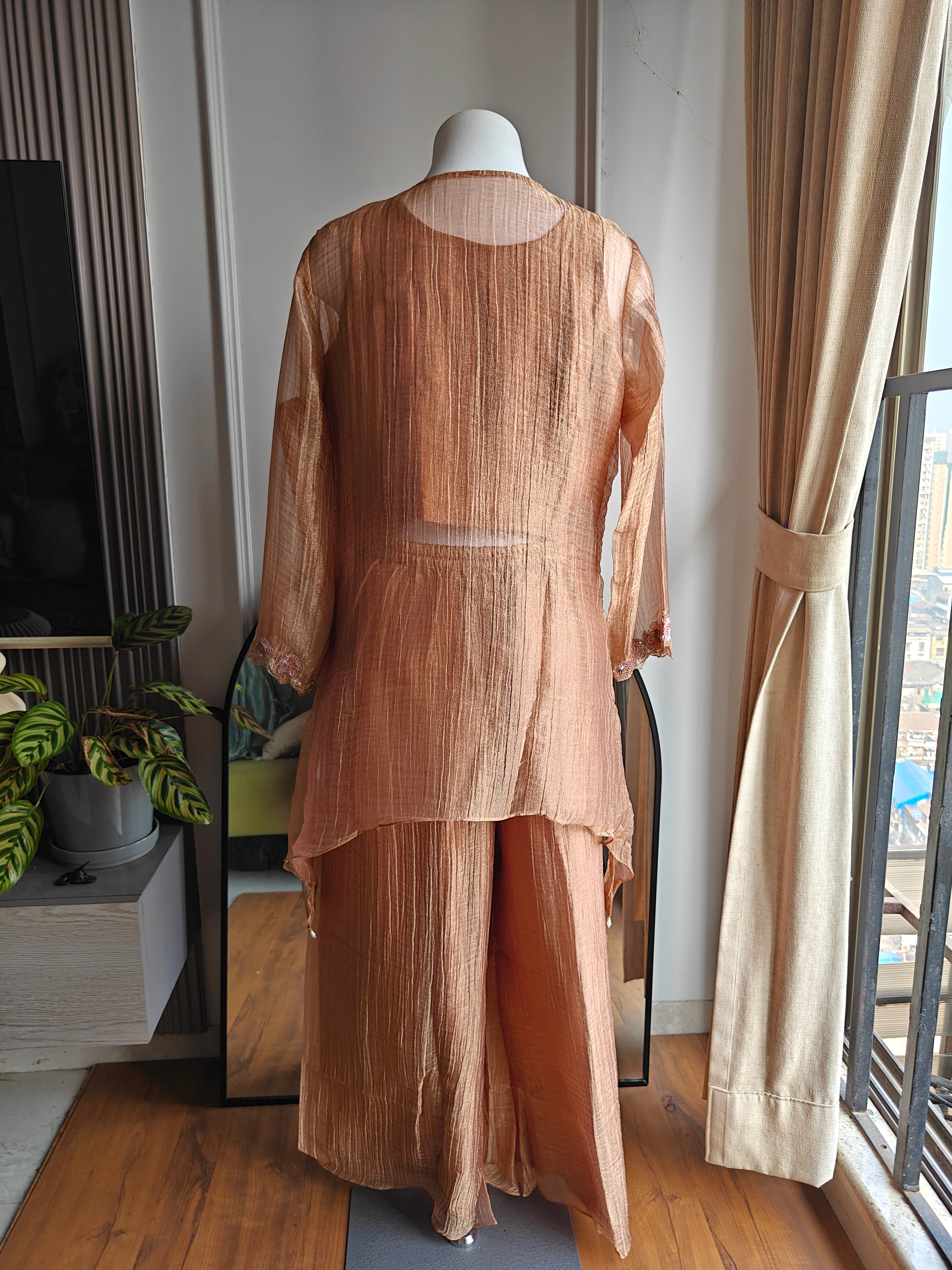 Drishti buster with short kurta  plazzo  coord set organza pich colour